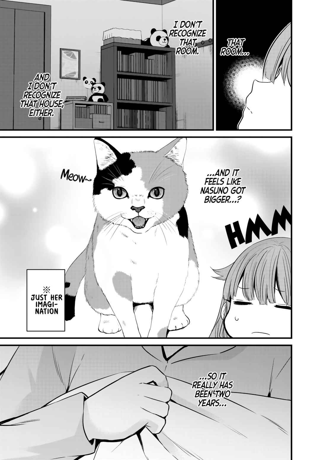 Rascal Does Not Dream of a Sister Home Alone Chapter 11 - Page 8