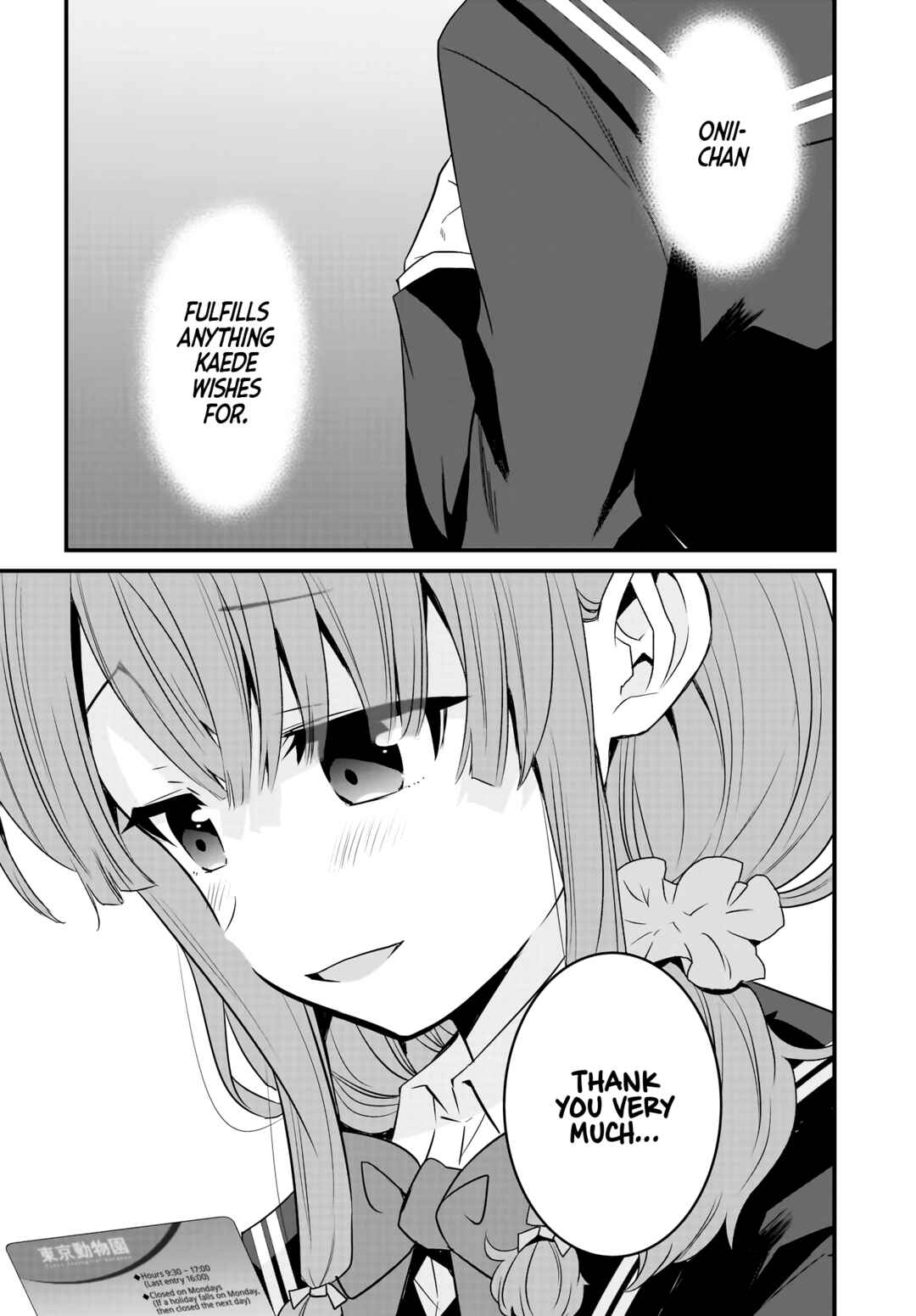 Rascal Does Not Dream of a Sister Home Alone Chapter 9 - Page 24