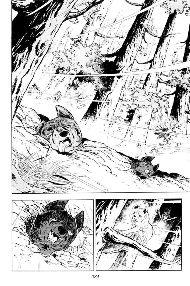 Silver Fang – The Shooting Star Gin – Chapter 25 - Page 11