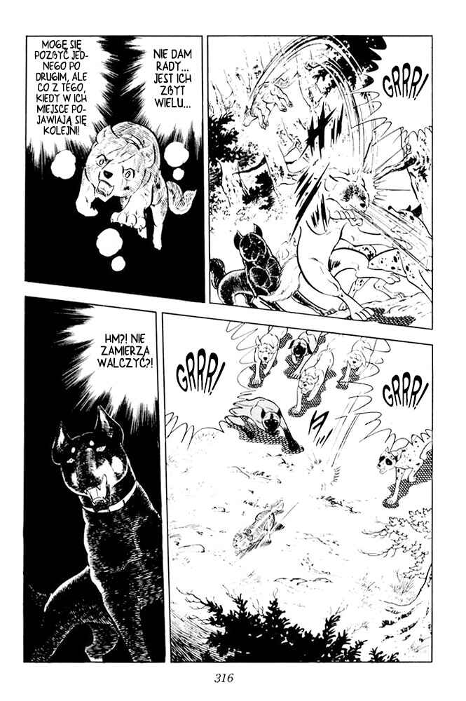 Silver Fang – The Shooting Star Gin – Chapter 25 - Page 42
