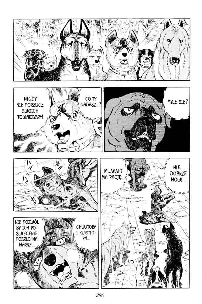 Silver Fang – The Shooting Star Gin – Chapter 25 - Page 7