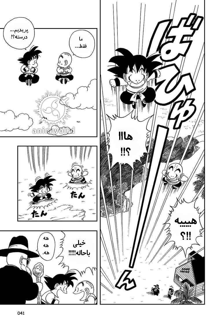 Dragon Ball Chapter 32 - Page 10