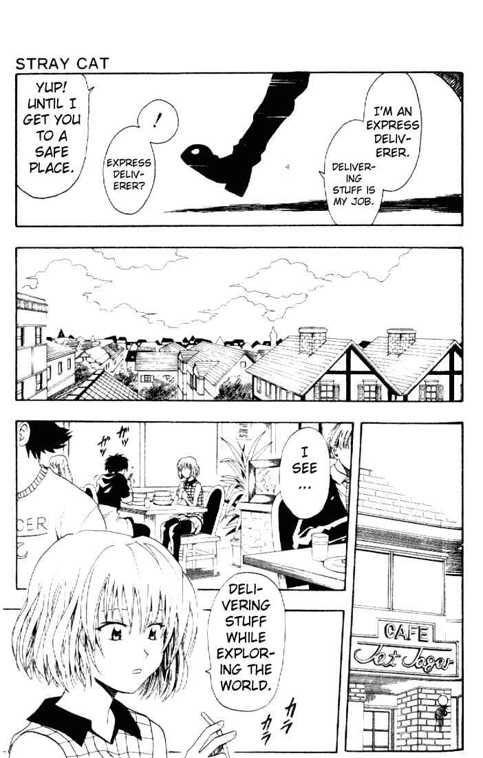 Black Cat Chapter 75.5 - Page 11