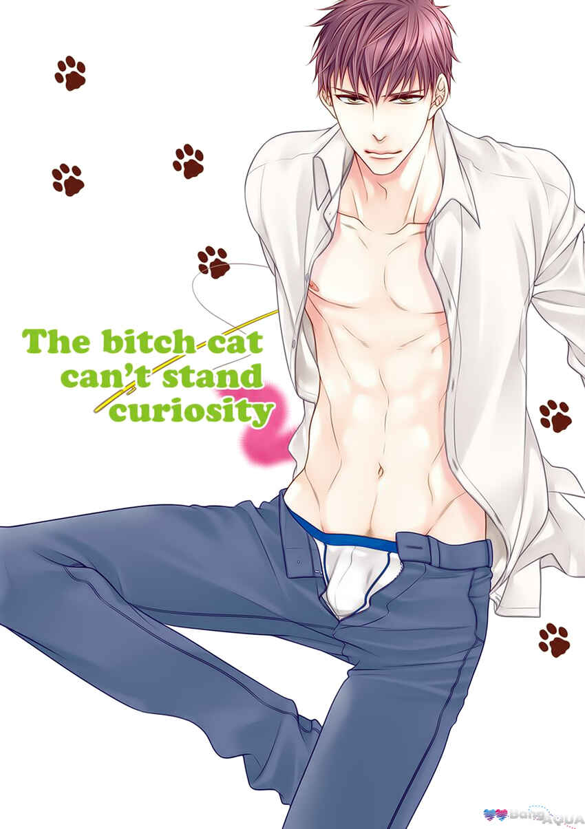 Bitch na Neko wa Koukishin ni Katenai Chapter Doujinshi Vol.3 - Page 27