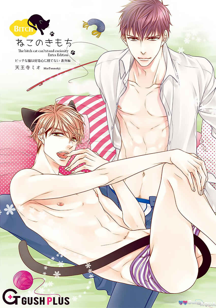 Bitch na Neko wa Koukishin ni Katenai Chapter Doujinshi Vol.3 - Page 3