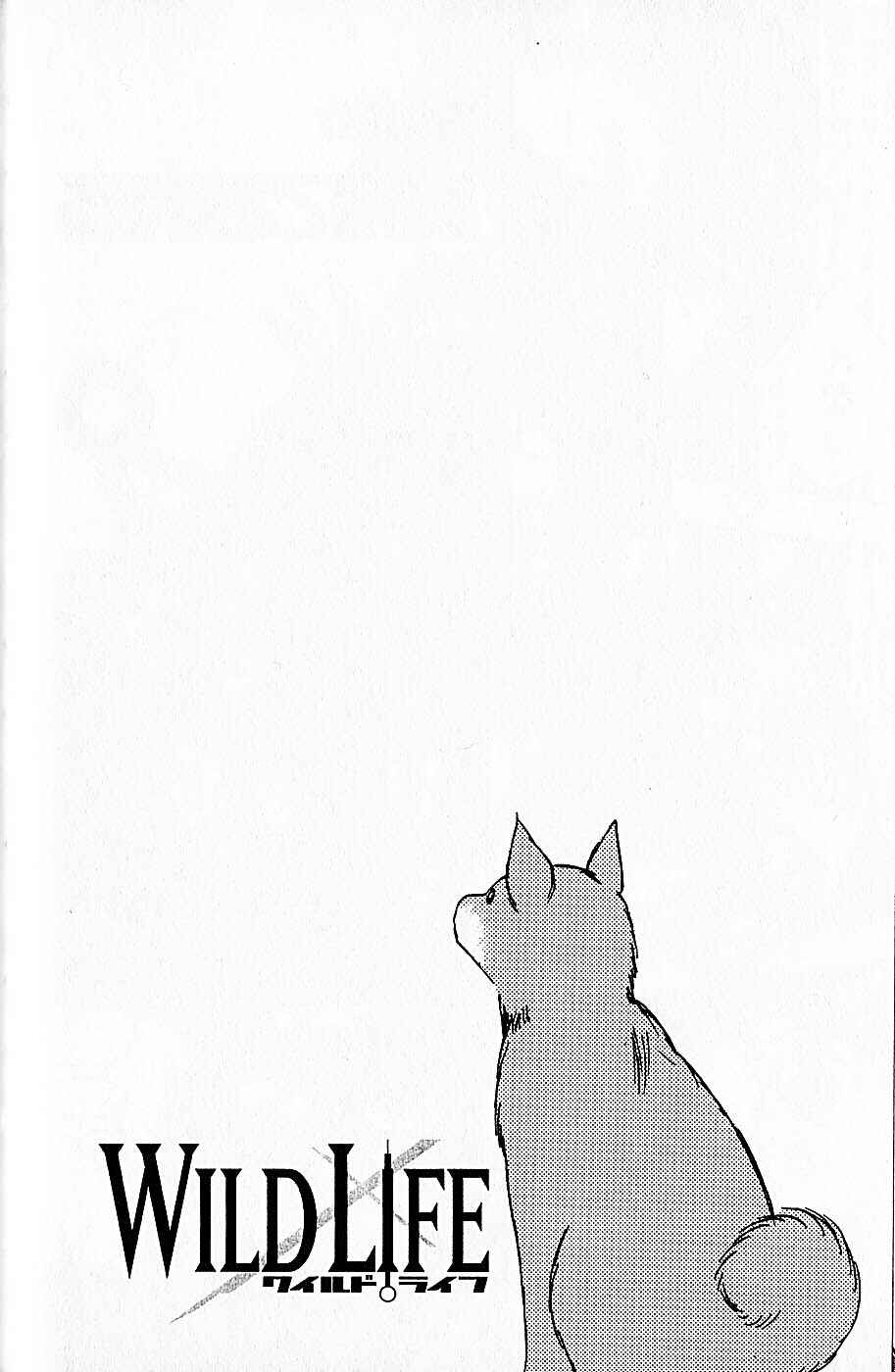 Wild Life Chapter 38 - Page 5