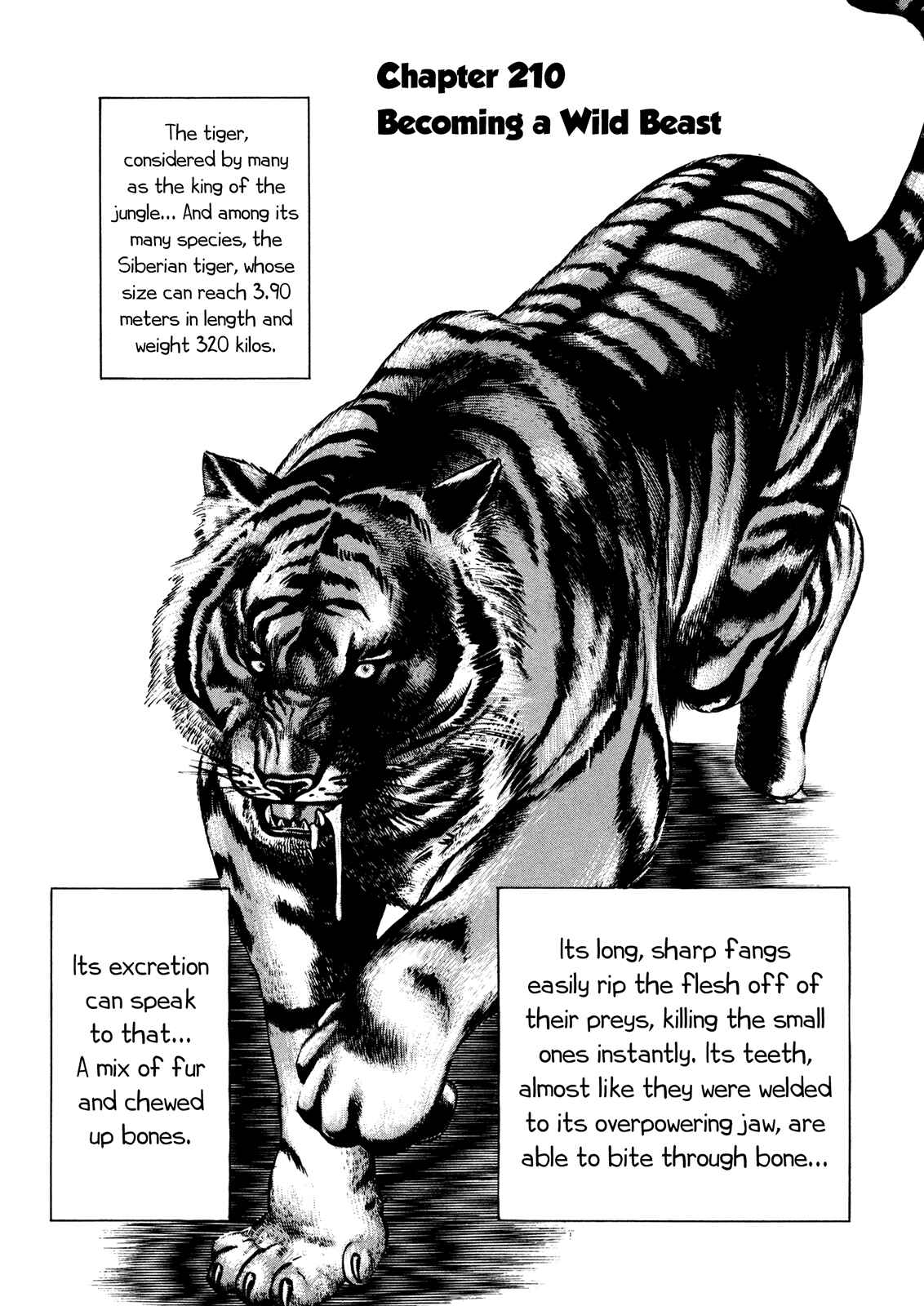Koukou Tekken-den Tough Chapter 210 - Page 1