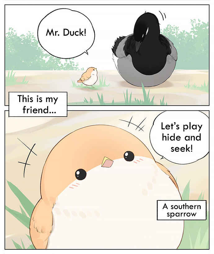 Southern Bird and Northern Bird Chapter 33 - Page 2