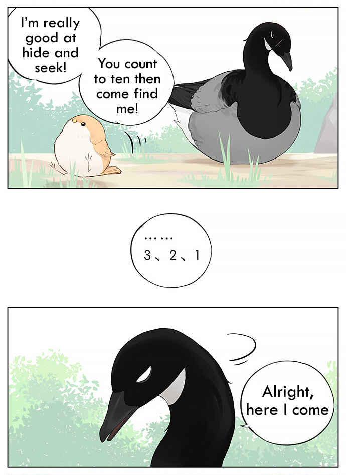 Southern Bird and Northern Bird Chapter 33 - Page 3