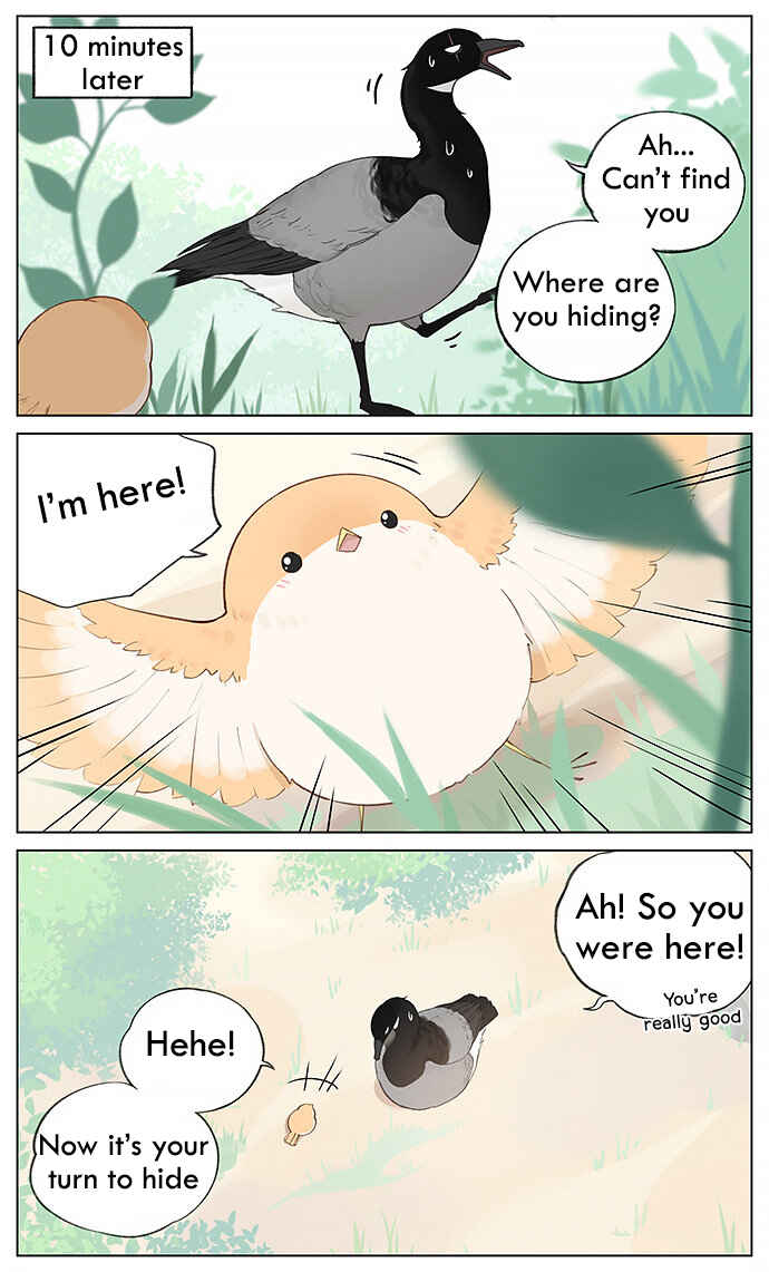 Southern Bird and Northern Bird Chapter 33 - Page 5