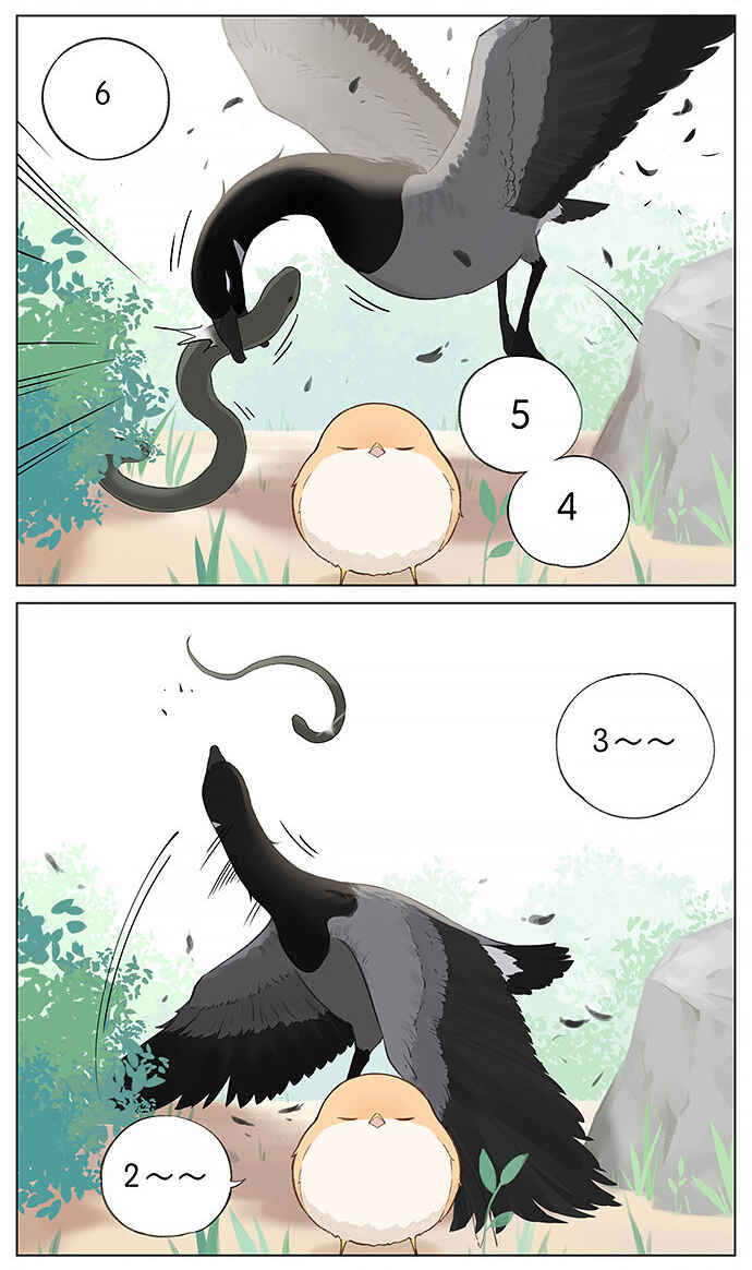 Southern Bird and Northern Bird Chapter 33 - Page 7