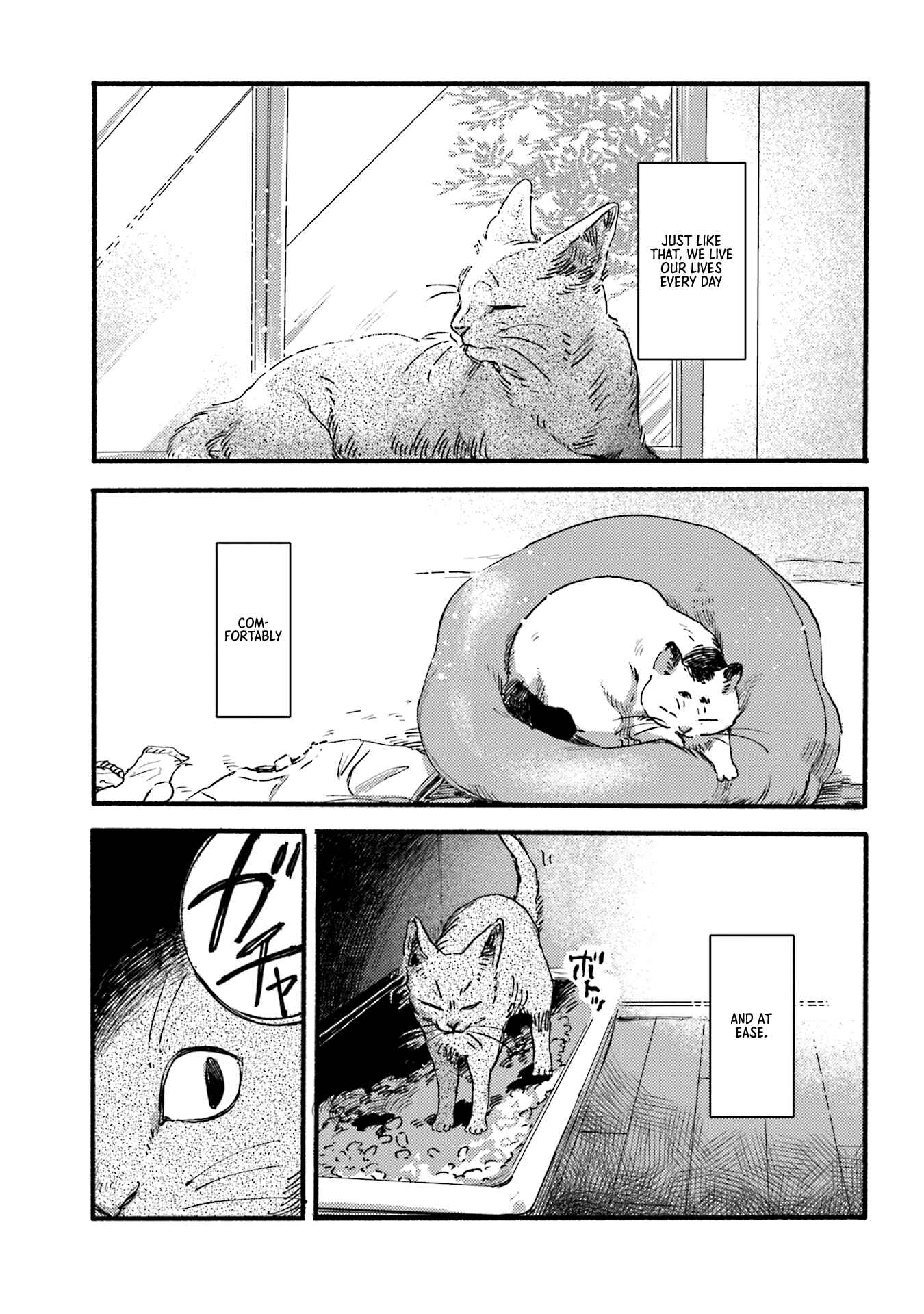 NekoDamari Chapter 2 - Page 5