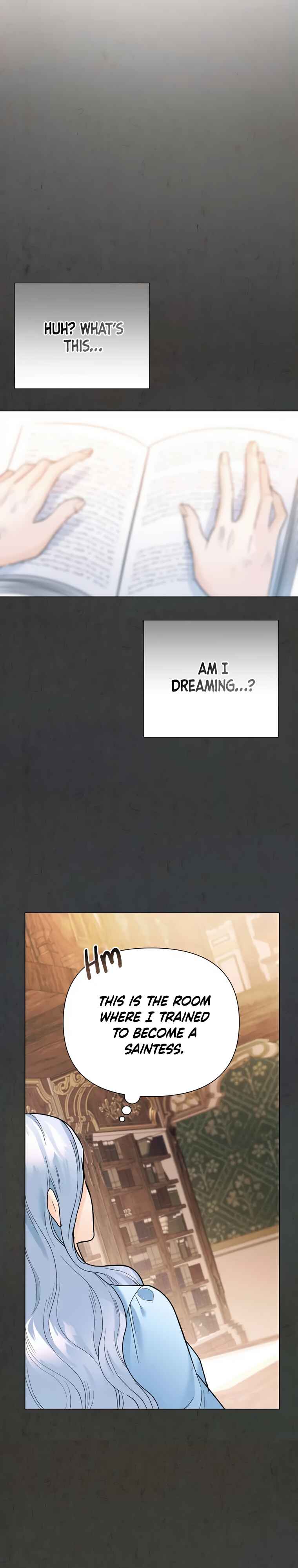 Secret Love Affair Between a Former Saint and a Dark Hero Chapter 5 - Page 26