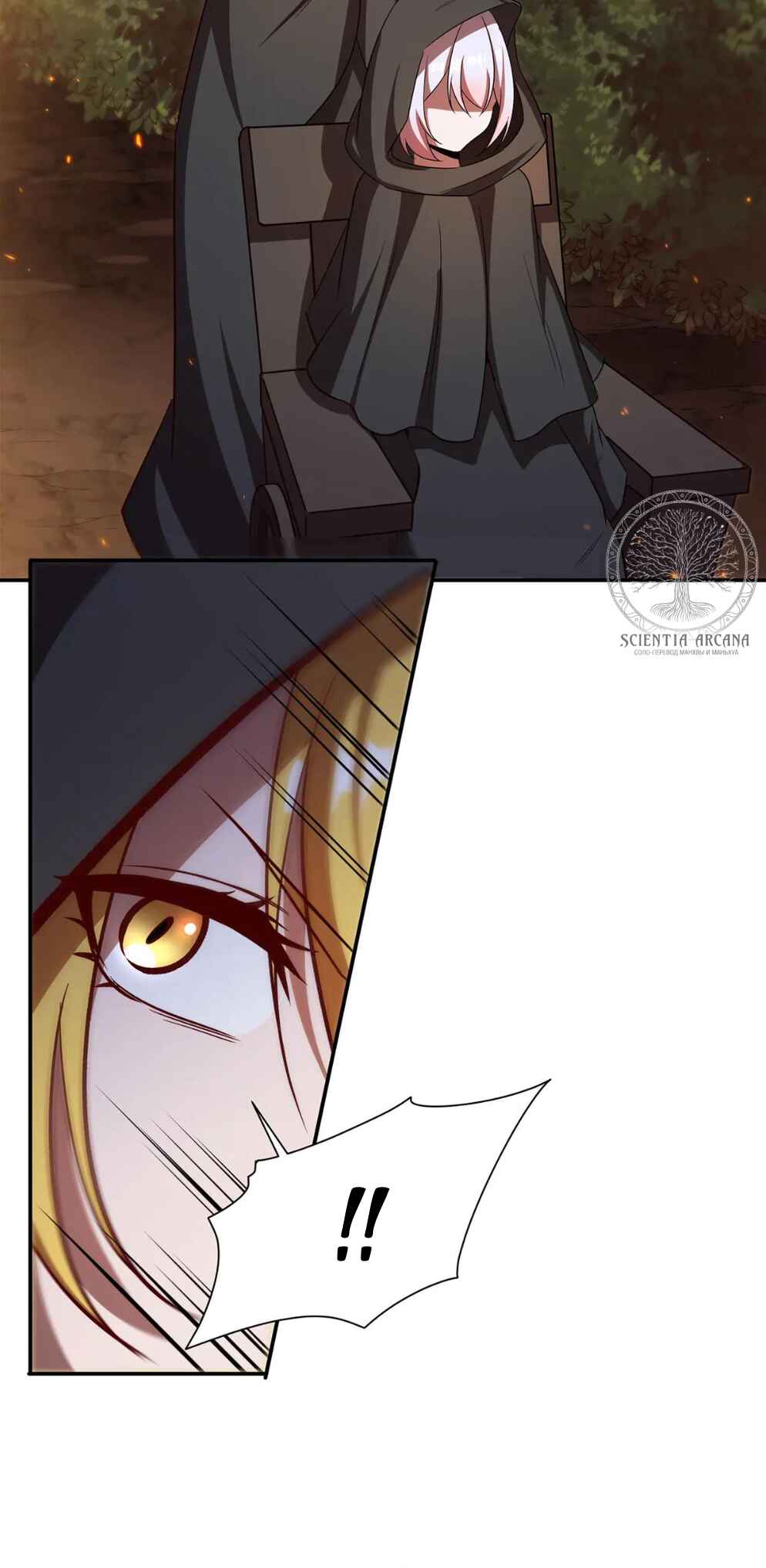 Xuè Jī yǔ Qíshì Chapter 357 - Page 29