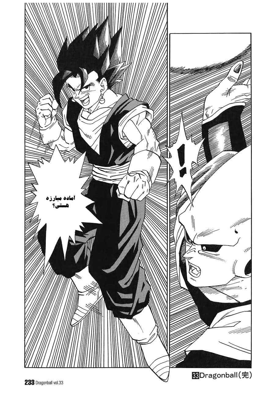 Dragon Ball Chapter 503 - Page 14