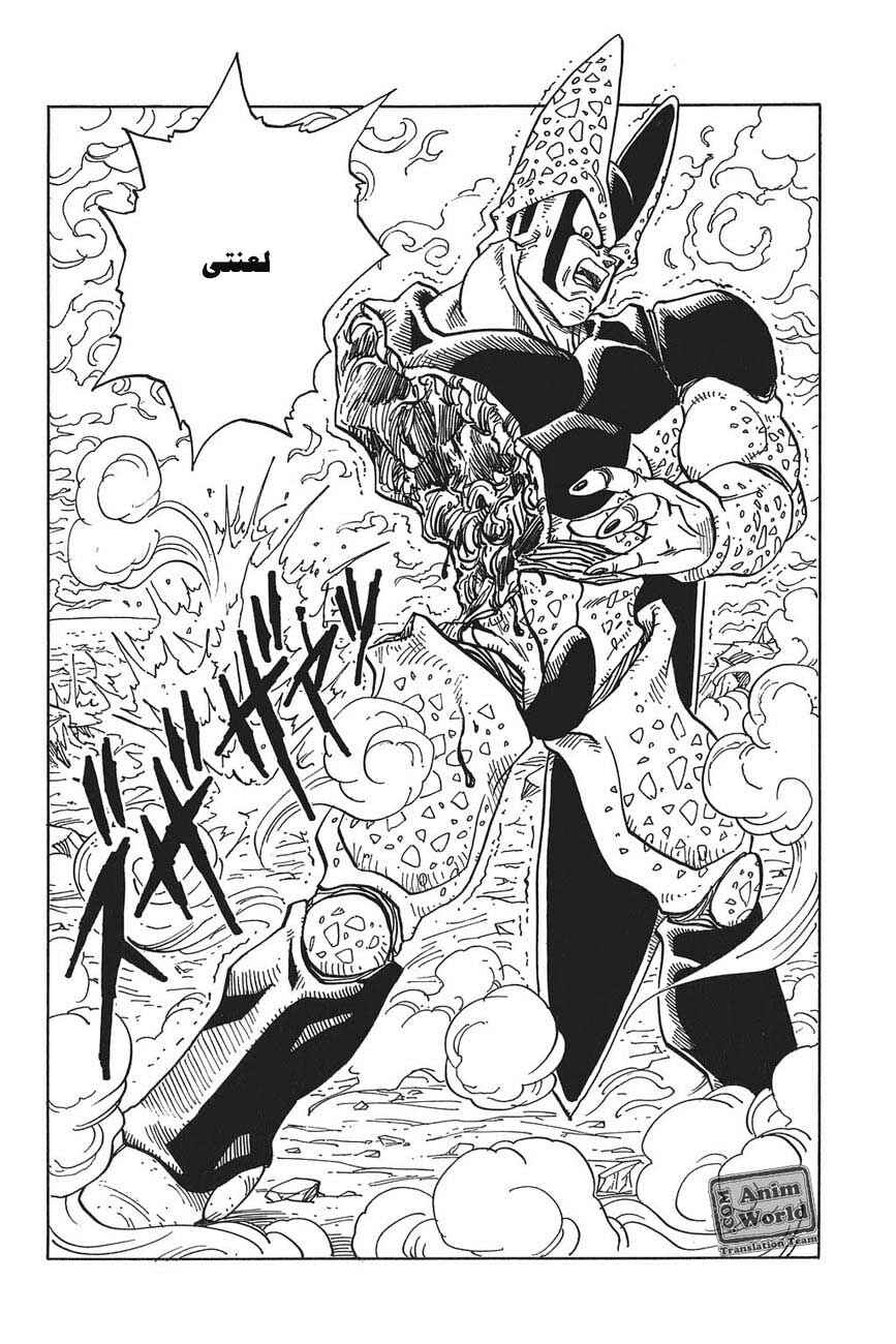 Dragon Ball Chapter 385 - Page 2