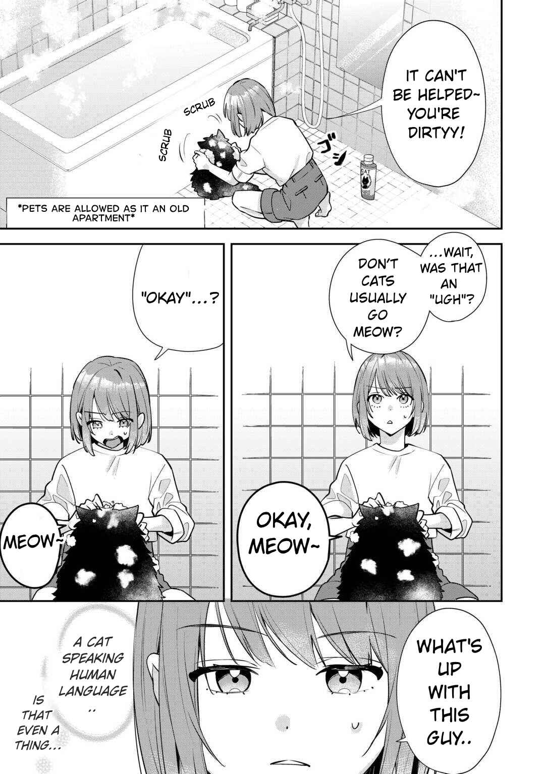 Hirotta no ga Hontoni Neko ka wa Utagawashi Chapter 1 - Page 3