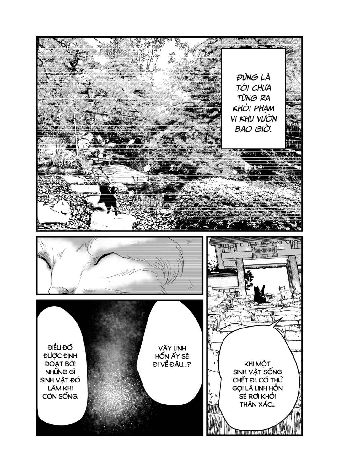 Black Cat Jiumin Chapter 1 - Page 9