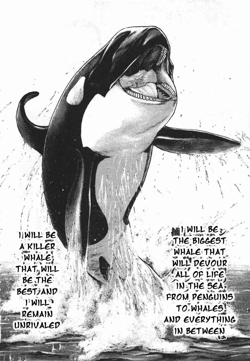Tough Chapter 285 - Page 16