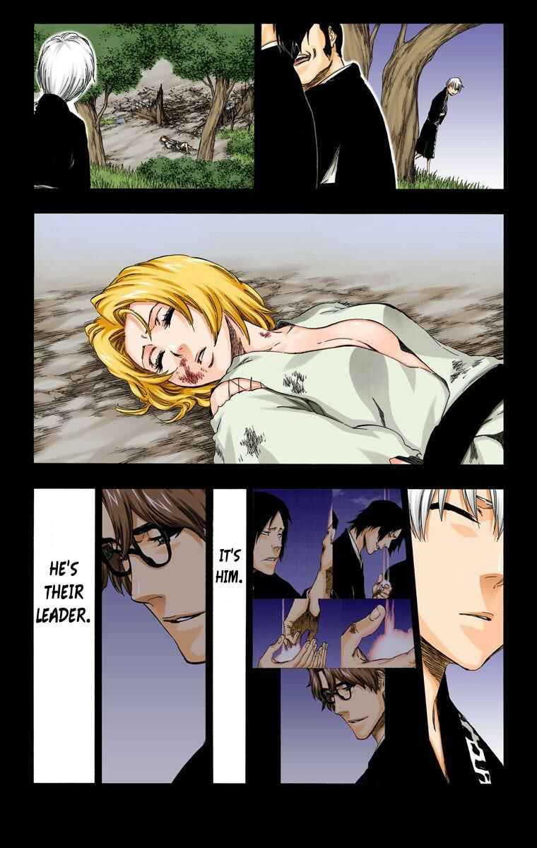 Bleach (Official Colored) Chapter 415 - Page 17