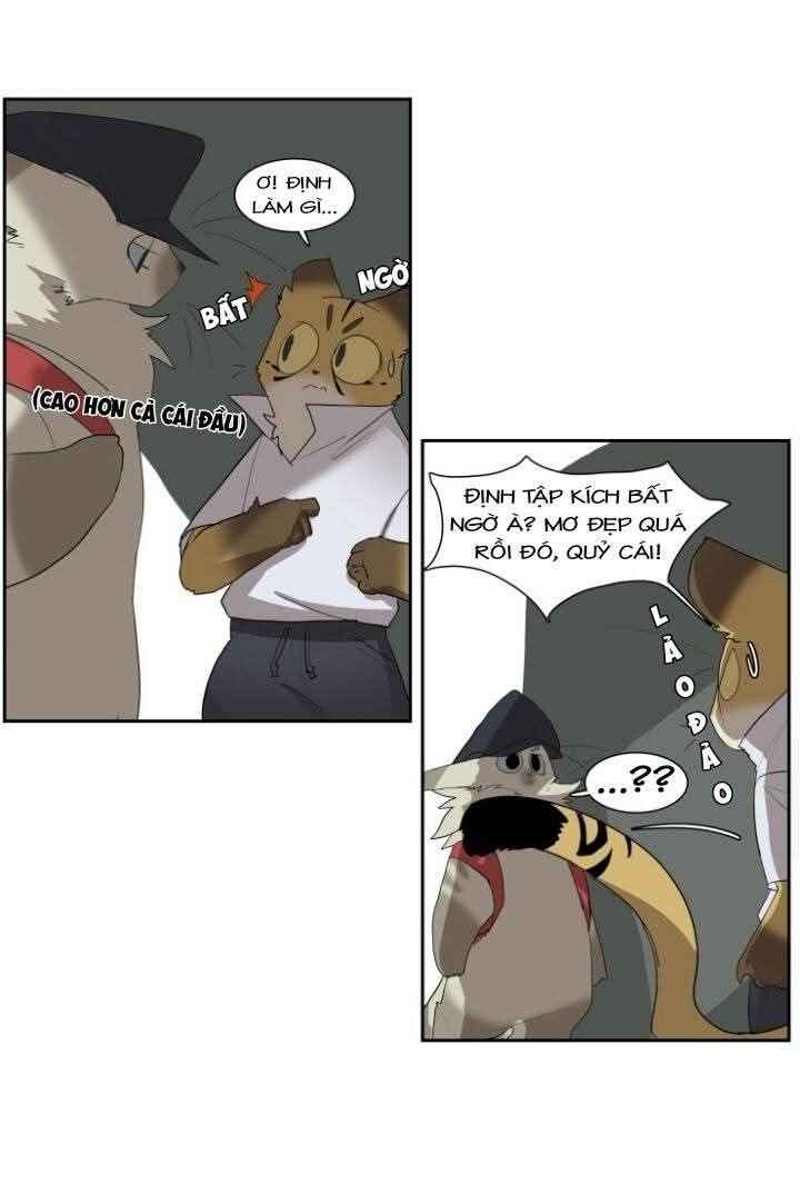 Miss Kitty and Her Bodyguards Chapter 184 - Page 12