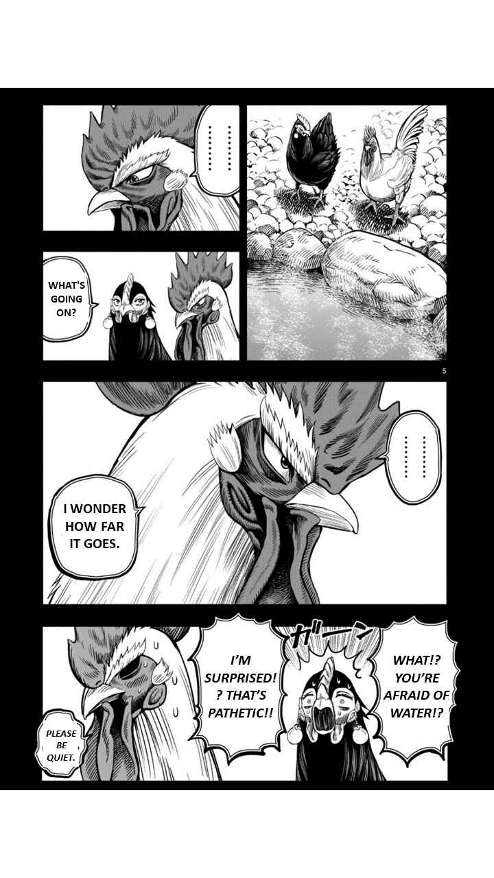 Niwatori Fighter Chapter 8 - Page 5