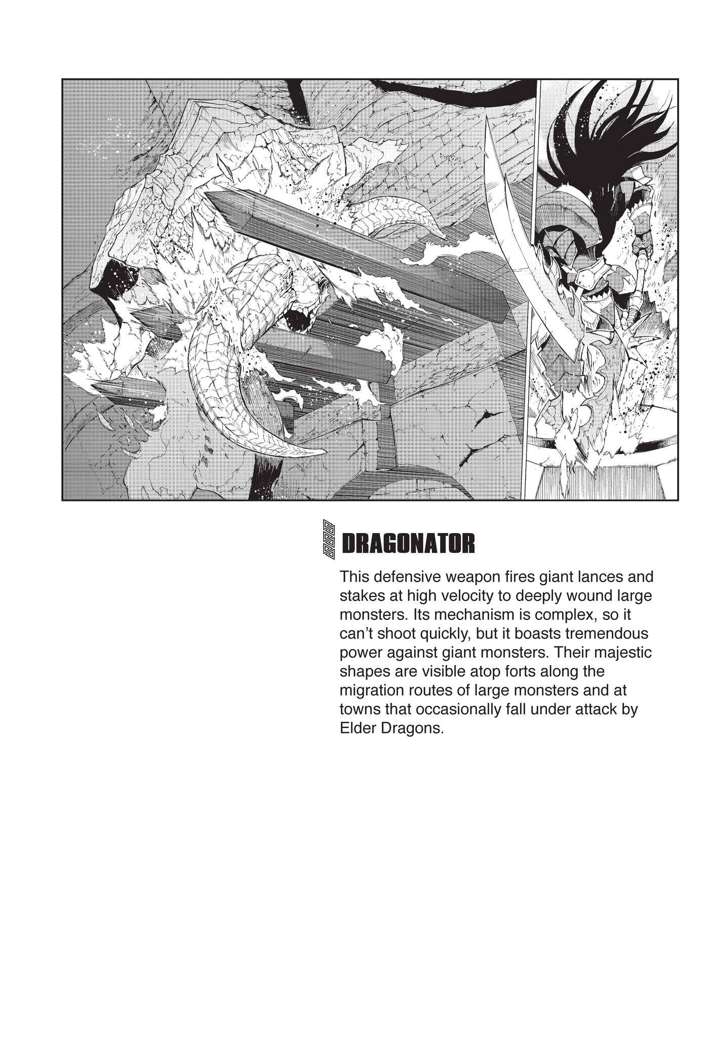 Monster Hunter: Flash Hunter Chapter 79 - Page 34