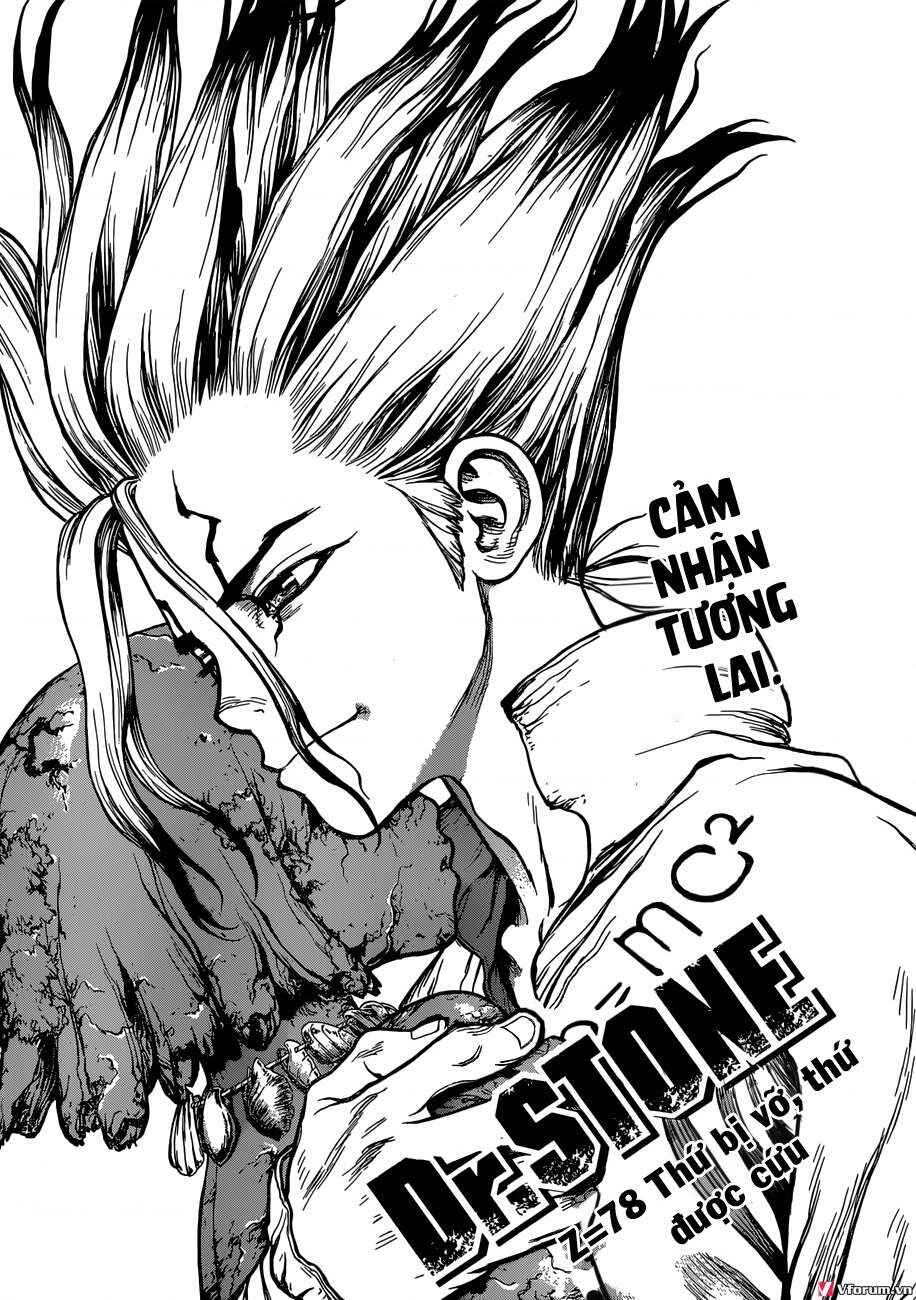 Dr.STONE Chapter 78 - Page 2