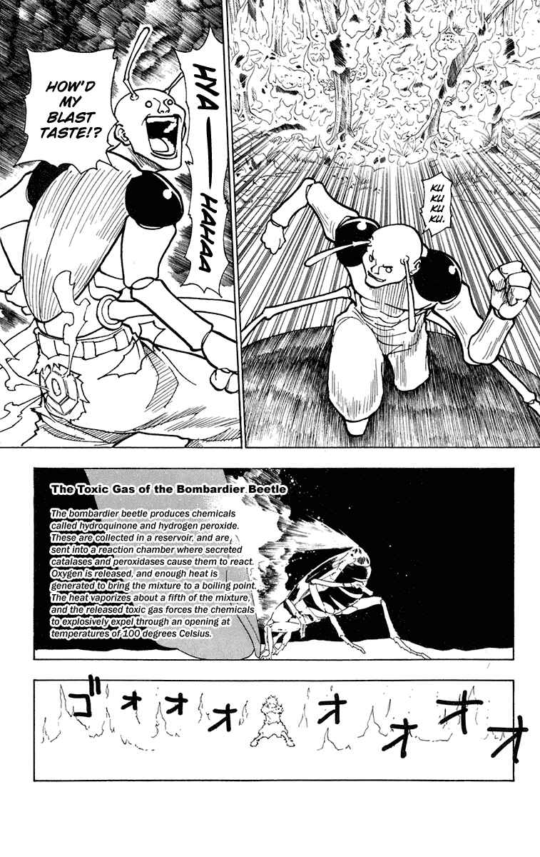 Hunter x Hunter Chapter 236 - Page 11
