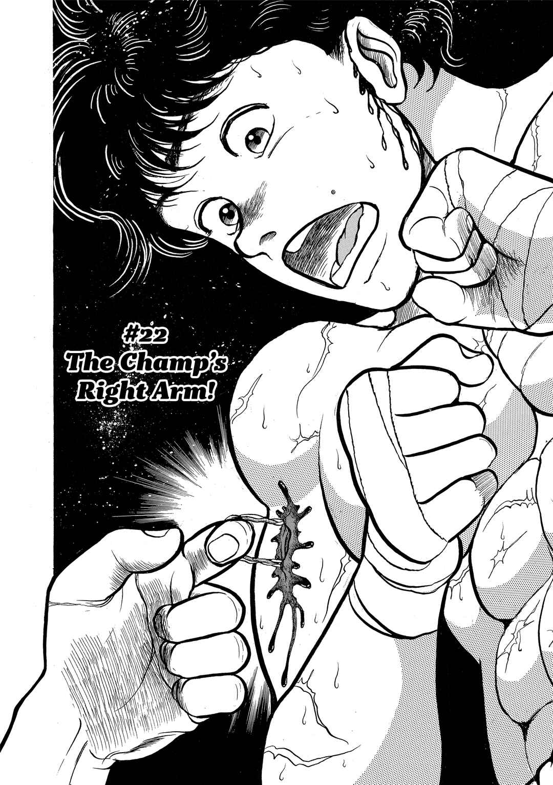 Grappler Baki Chapter 22 - Page 1