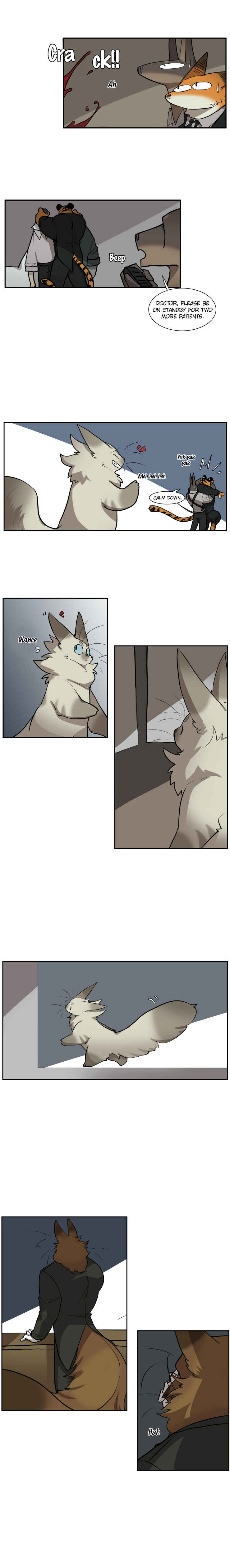 Miss Kitty and Her Bodyguards Chapter 155 - Page 3