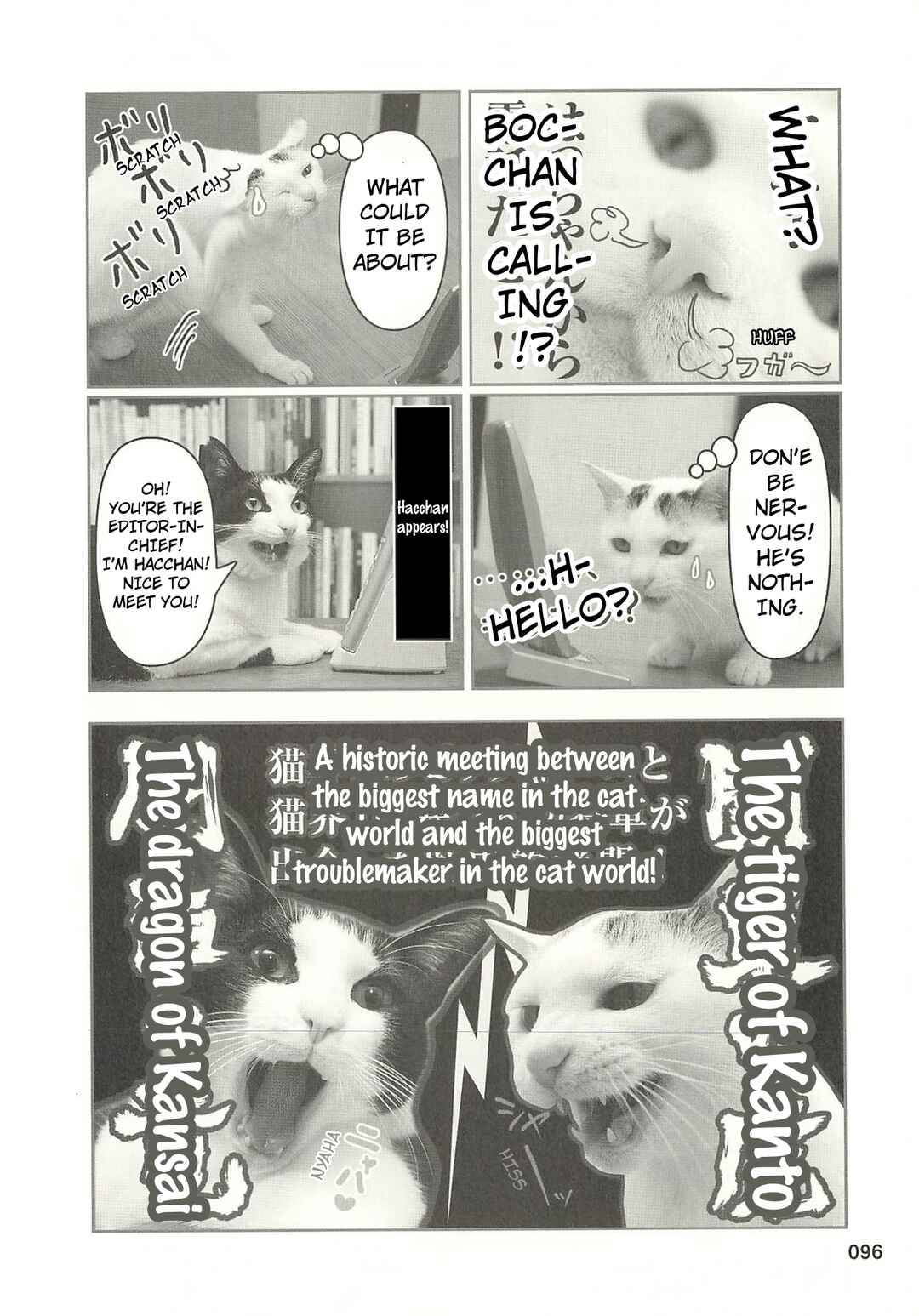 Sukeban Shachou Rena Chapter 42 - Page 5