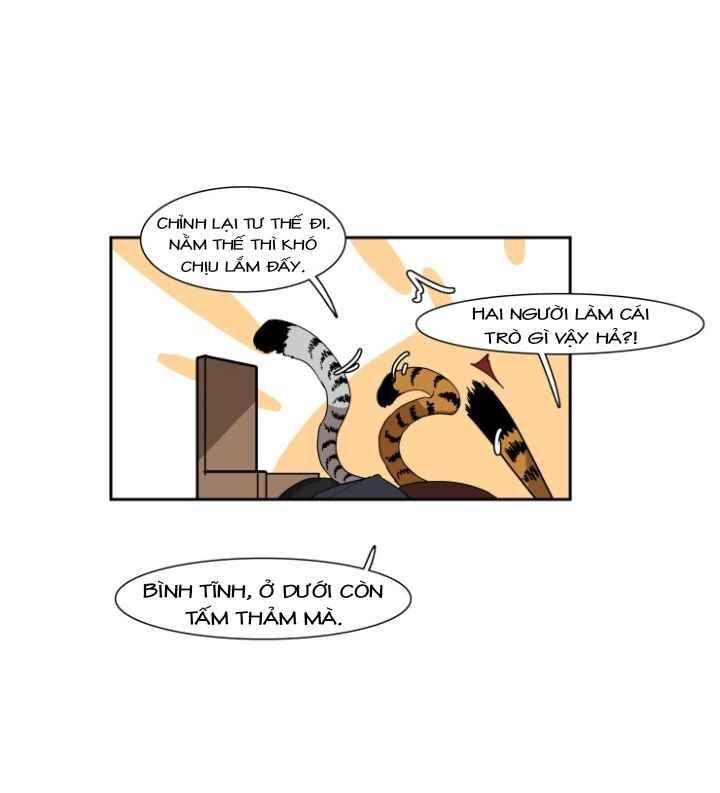 Miss Kitty and Her Bodyguards Chapter 200 - Page 10