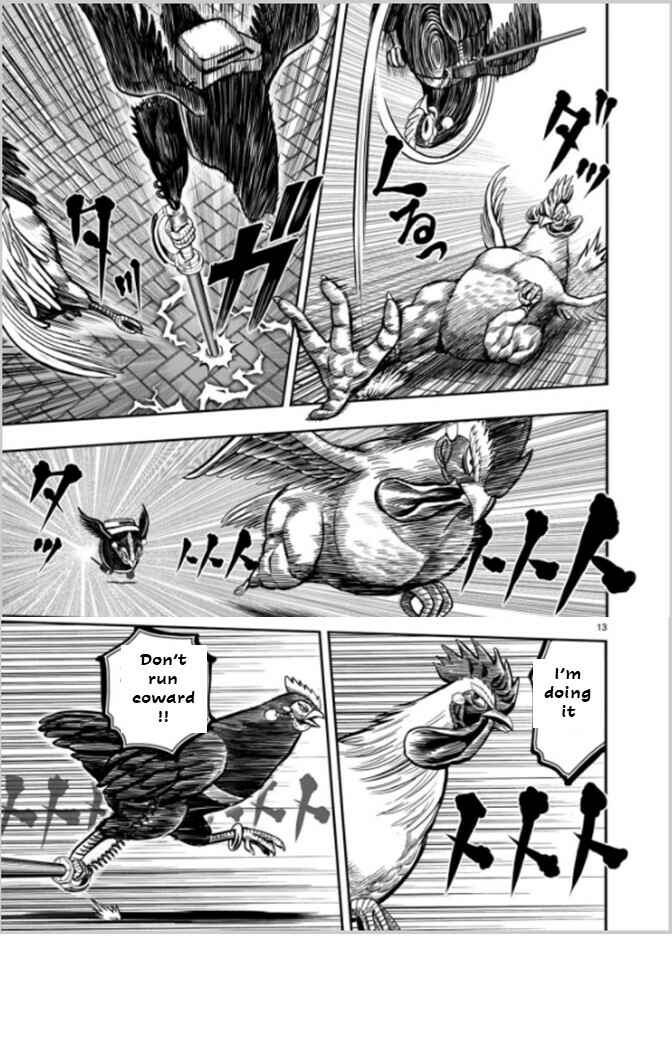 Niwatori Fighter Chapter 7 - Page 13