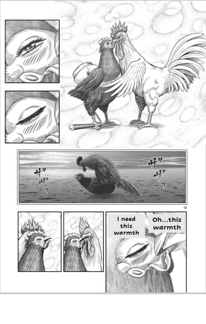 Niwatori Fighter Chapter 7 - Page 19