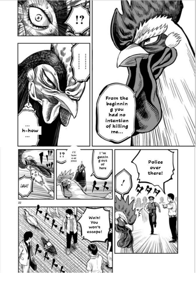 Niwatori Fighter Chapter 7 - Page 22