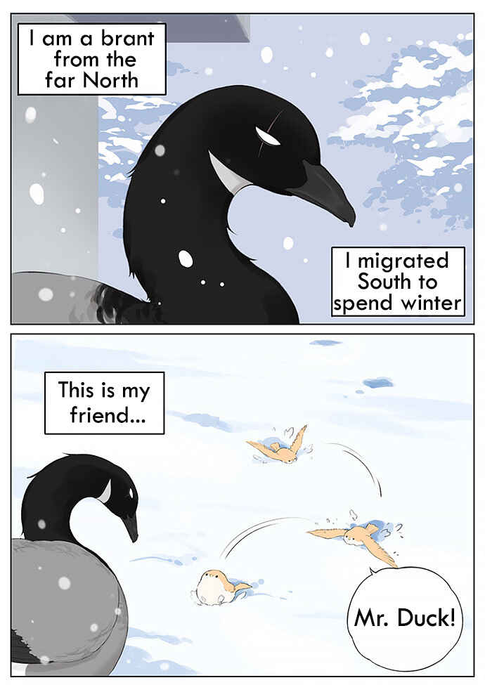 Southern Bird and Northern Bird Chapter 29 - Page 1