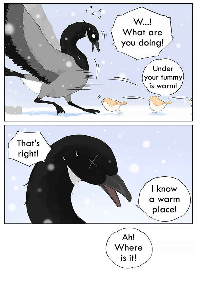 Southern Bird and Northern Bird Chapter 29 - Page 4