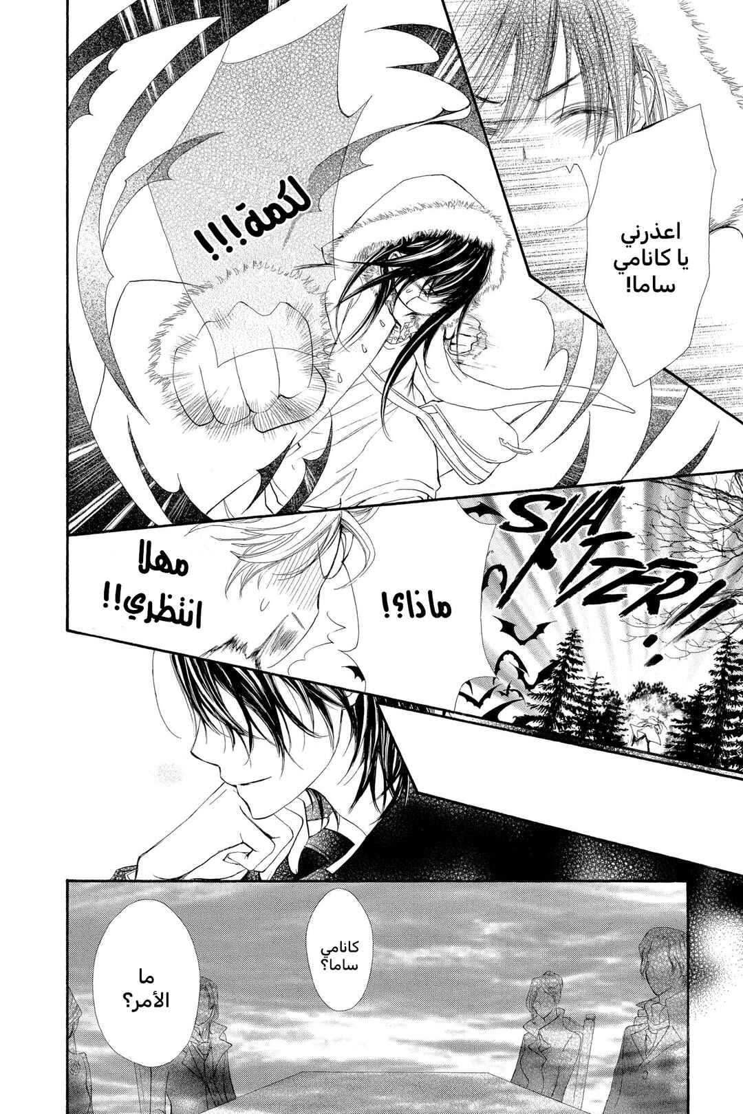 Vampire Knight Chapter 57 - Page 12