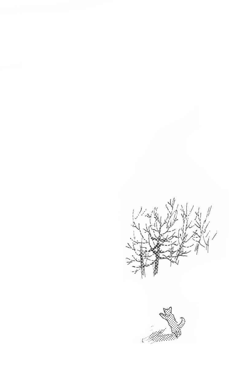 I Want To Keep Gazing At You Chapter 3 - Page 4