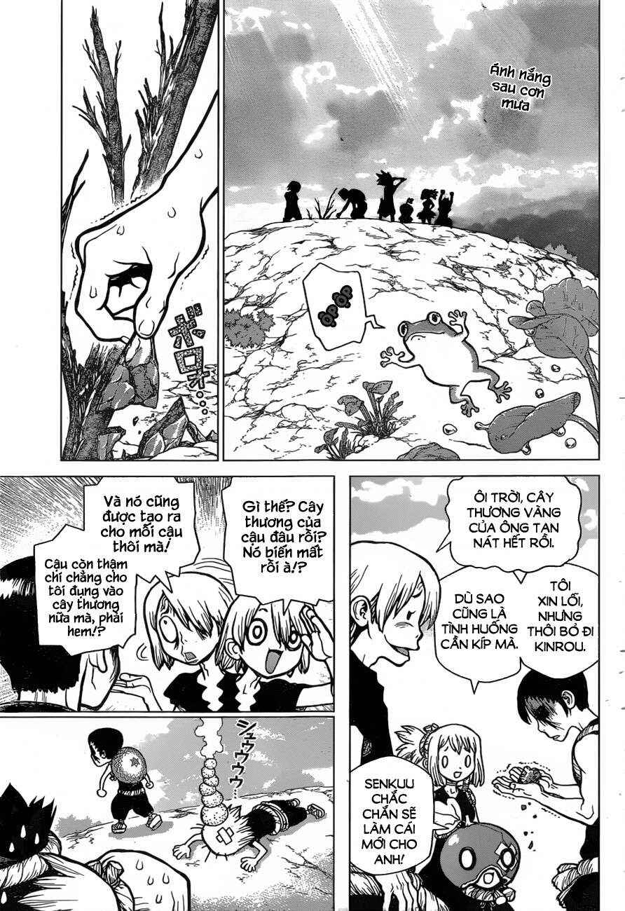 Dr.STONE Chapter 25 - Page 5