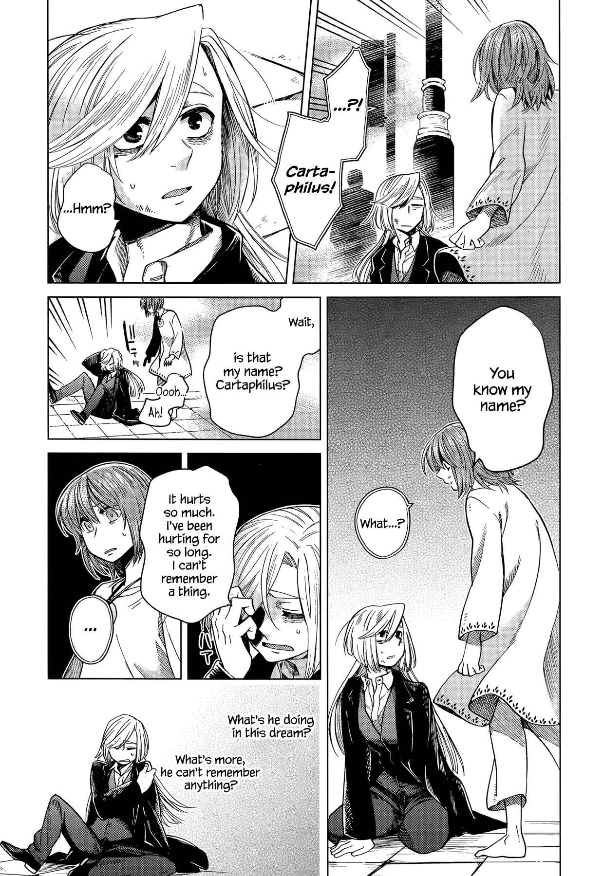 The Ancient Magus' Bride Chapter 33 - Page 9