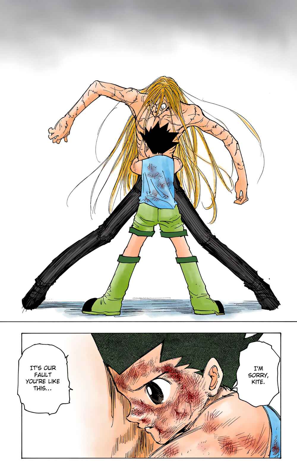 Hunter x Hunter (Official Colored) Chapter 222 - Page 11