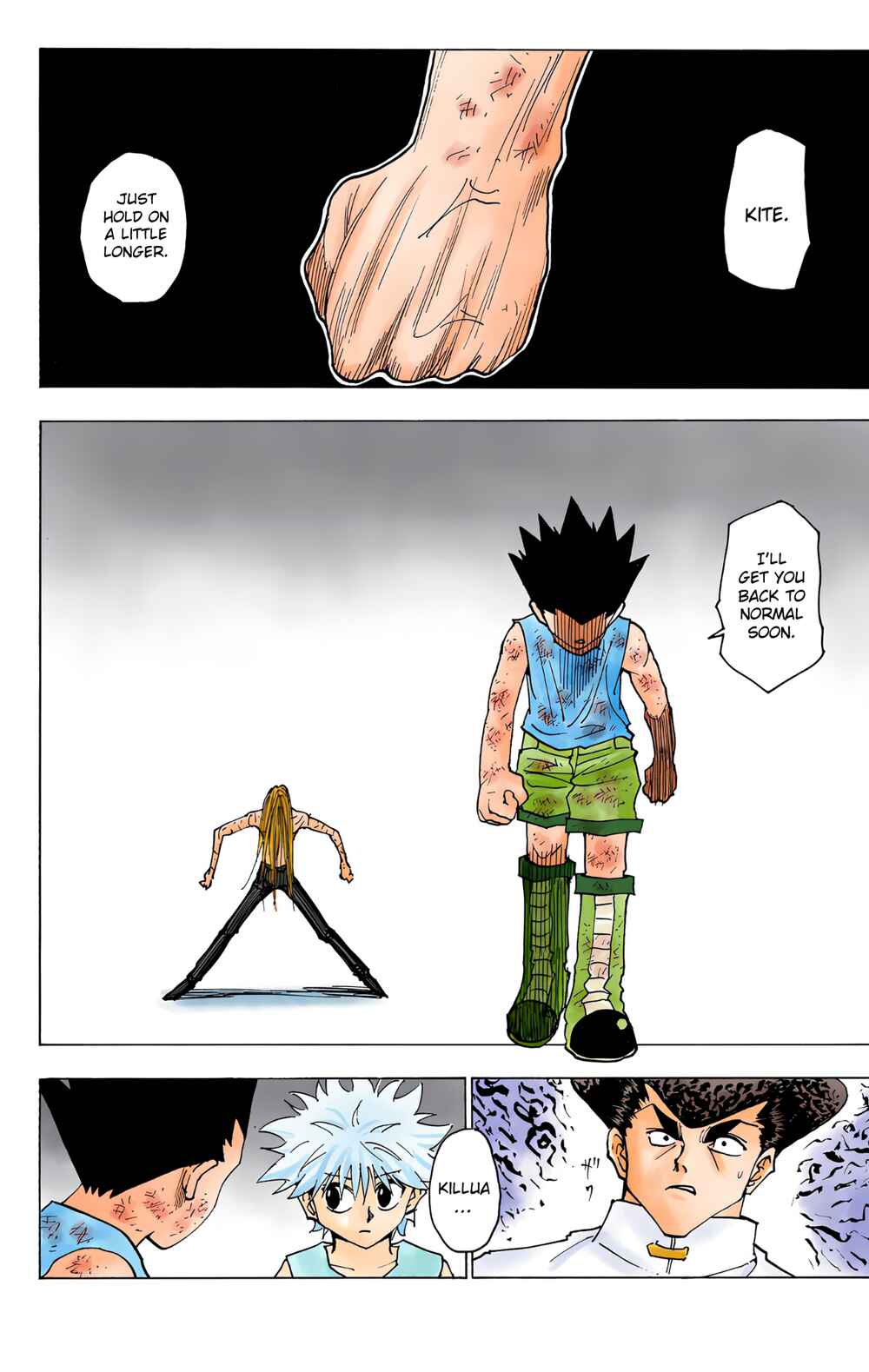 Hunter x Hunter (Official Colored) Chapter 222 - Page 14