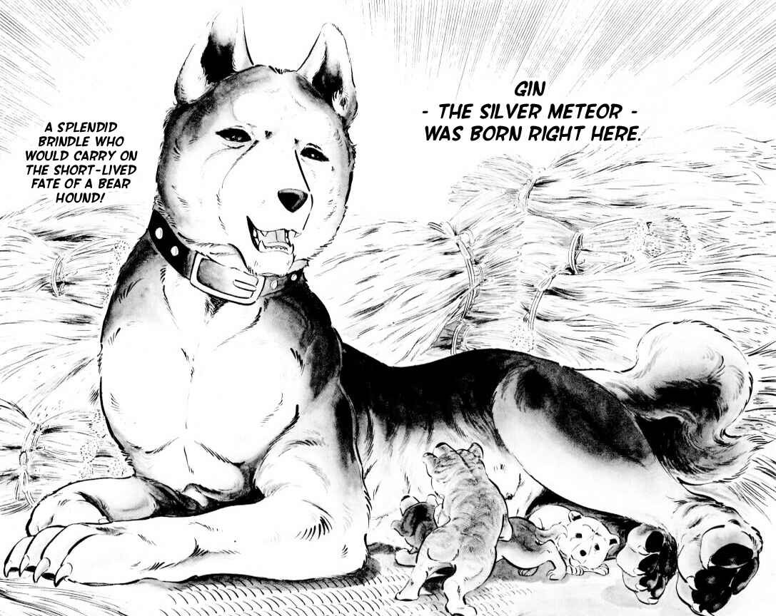 Silver Fang – The Shooting Star Gin – Chapter 1 - Page 26