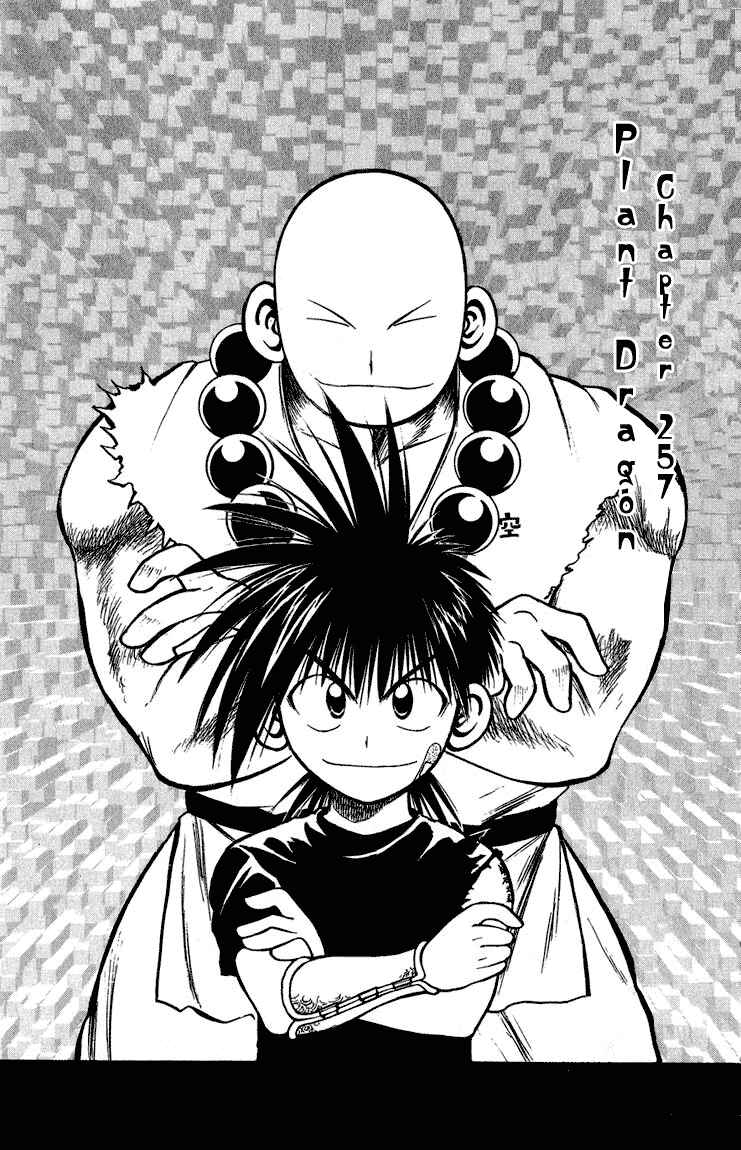 Flame of Recca Chapter 257 - Page 1