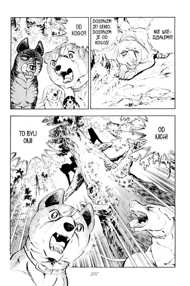 Silver Fang – The Shooting Star Gin – Chapter 18 - Page 19