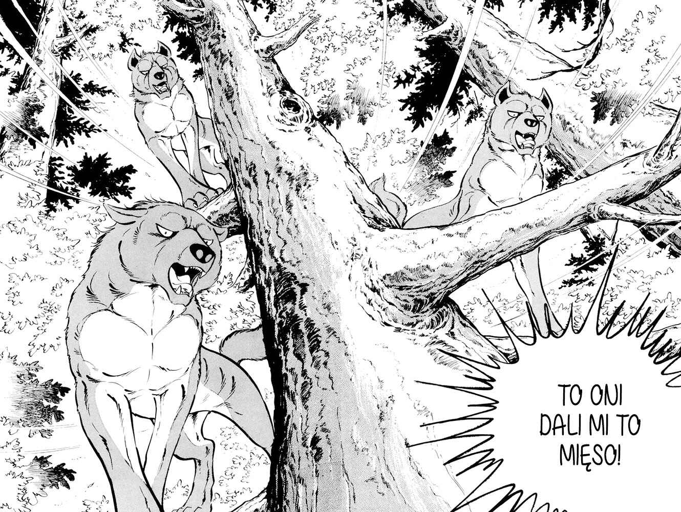 Silver Fang – The Shooting Star Gin – Chapter 18 - Page 20