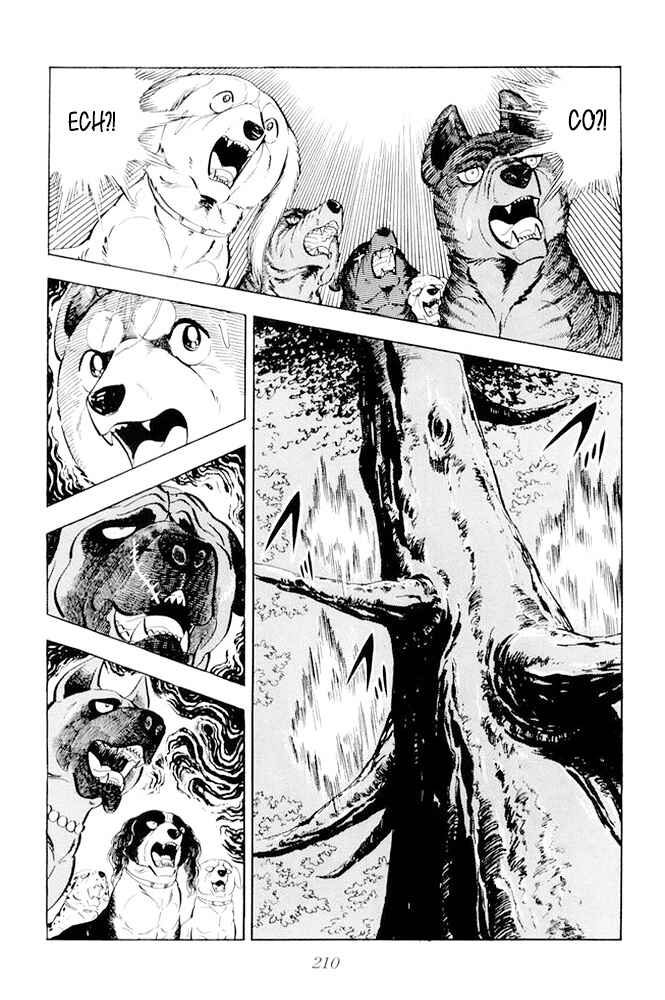 Silver Fang – The Shooting Star Gin – Chapter 18 - Page 21