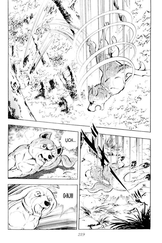Silver Fang – The Shooting Star Gin – Chapter 18 - Page 30